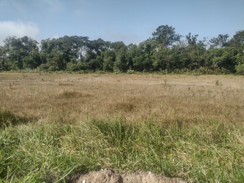 TERRENO JD CORONEL, ESTUDA PROPOSTA 